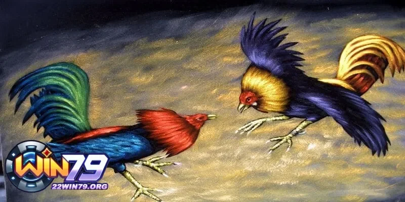 Gà chọi hay cần có những phẩm chất gì để chiến thắng đối thủ